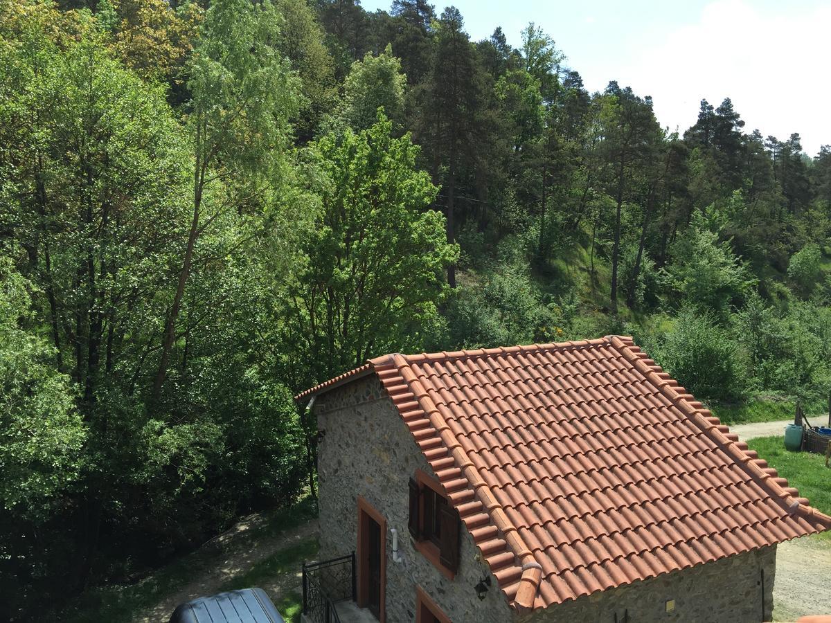 Giusvalla Forest Village Dego Exterior foto